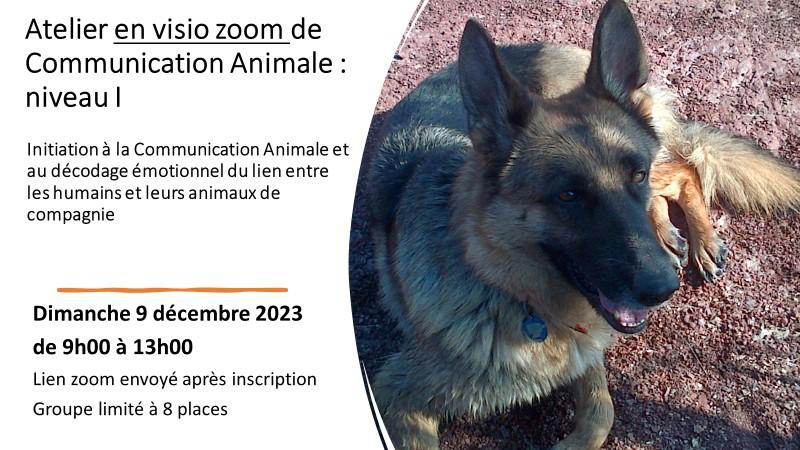 F a1 9 decembre p1