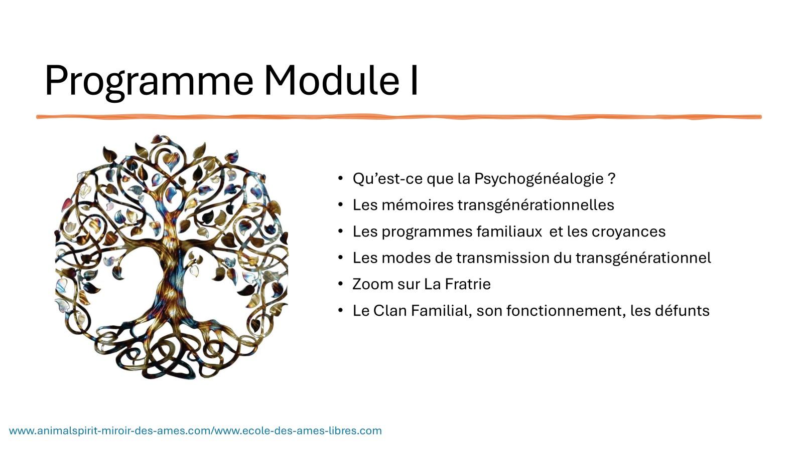 F modle i p2