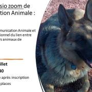 Flyer 1 niveau i