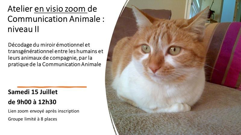 Flyer 1 niveau ii