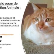 Flyer 1 niveau ii