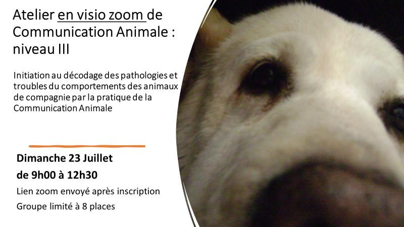 Flyer 1 niveau iii