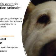 Flyer 1 niveau iii