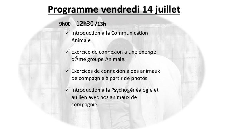 Flyer 2 niveau i