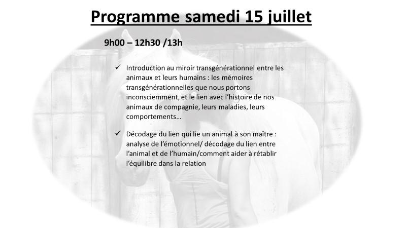 Flyer 2 niveau ii