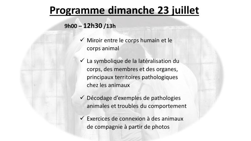 Flyer 2 niveau iii