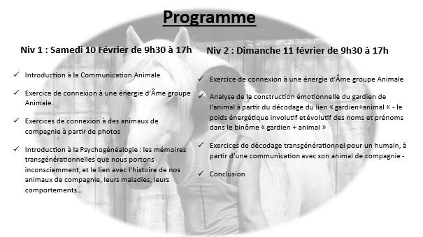 Flyer p2 niv 1 et 2 10 et 110224