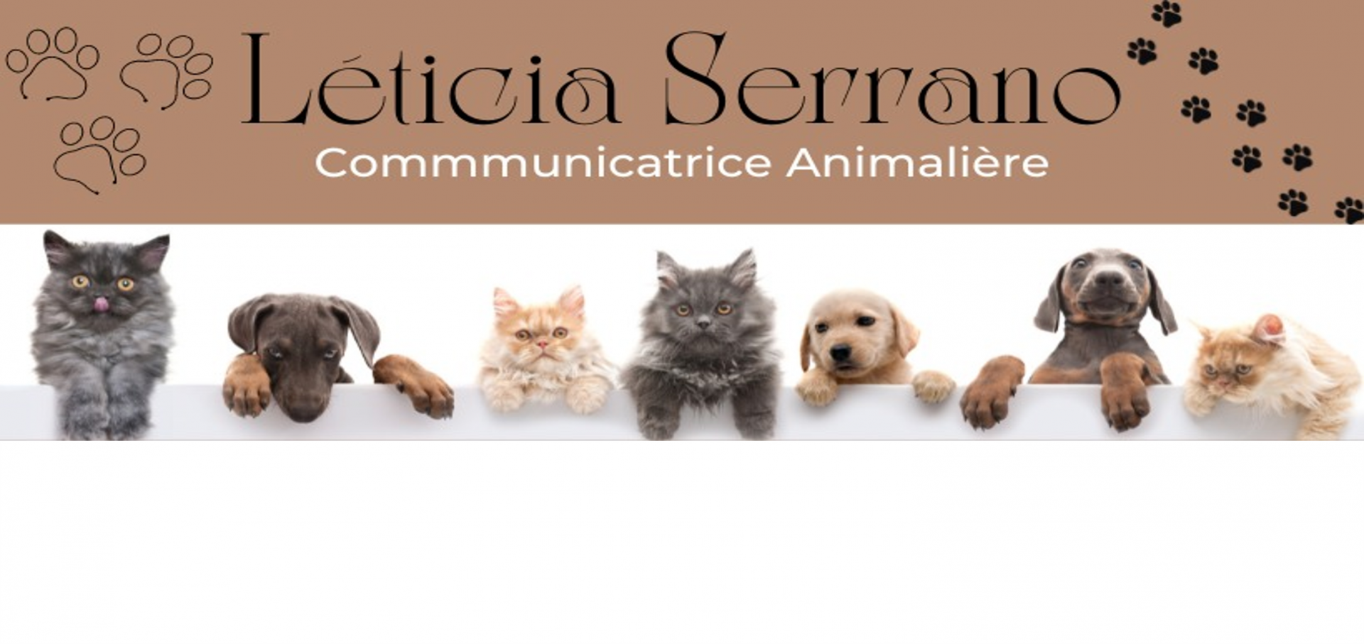 Animal Spirit, Le Miroir des Ames